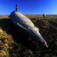 Illustration for article titled Heres What Our Space Junk Looks Like After Its Crashed Back To Earth
